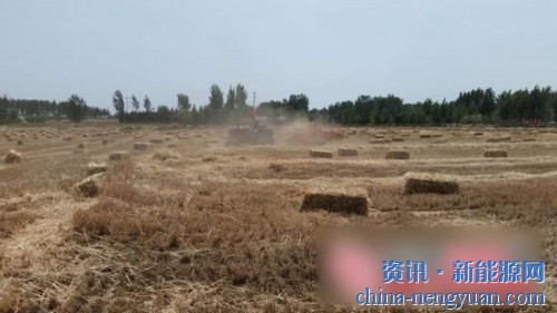 临沂市农业农村人口_临沂市农业学校图片