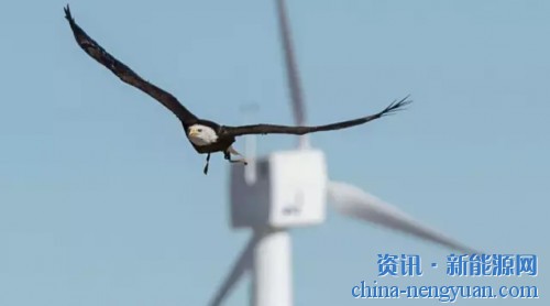 杜克能源在世界之巅风电项目安装IdentiFlight护鸟设备