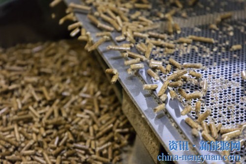 Pinnacle的木屑颗粒即将进入加速中的日本市场
