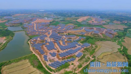 531新政满月 光伏行业生存状况调查