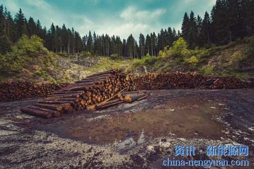 挪威成为世界上第一个实现森林零砍伐的国家
