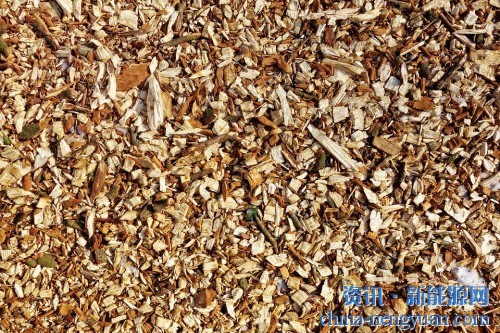 阿根廷40MW生物质发电厂将在6个月内投入使用