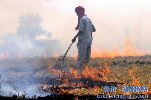 农作物秸秆焚烧是南亚空气污染的主要原因之一