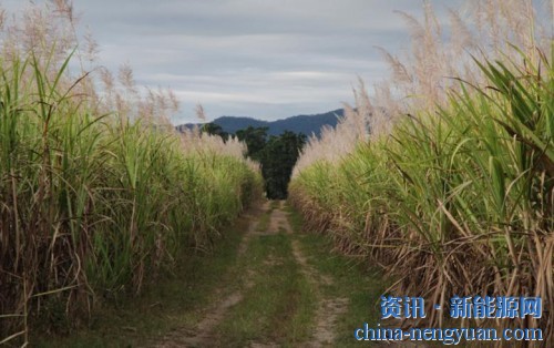 Albioma向瓜德罗普岛提供6800万欧元的贷款 用于将煤炭转化为生物质