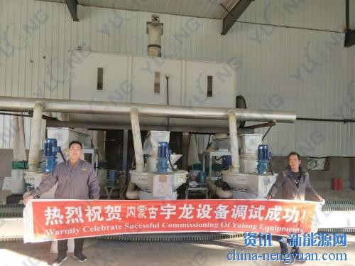 宇龙机械内蒙满州里樟子松时产5-6吨颗粒生产线正常运行
