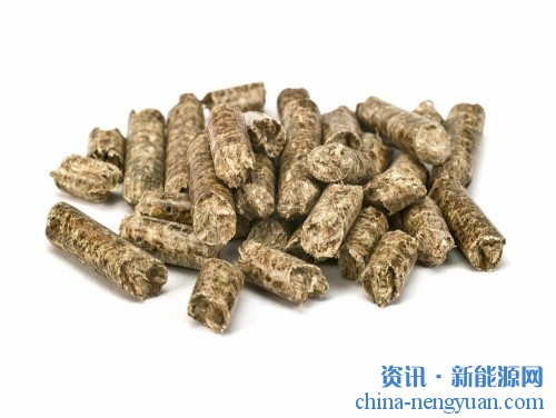 美国农业部：今年2月，美国木颗粒出口量超过50万吨