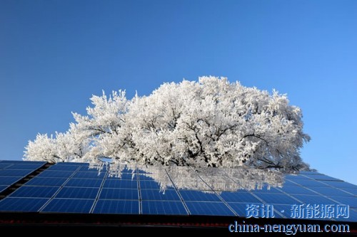 竞价项目落地 光伏迎旺季