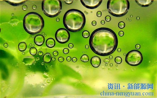BP在巴西成立了生物能源合资公司