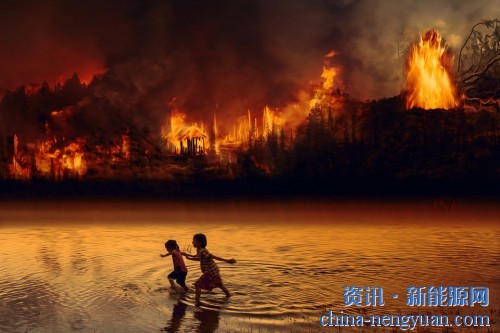 亚马逊雨林今年的火灾数量创下了历史新高