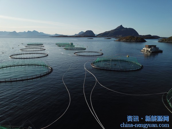 北欧三文鱼场展示了电池储能的经济和环境案例