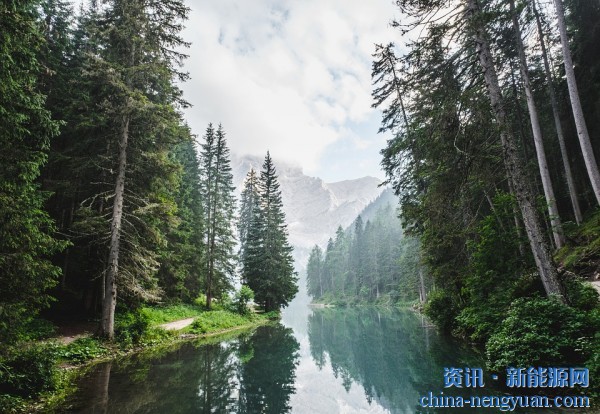 产业分析：生物质能源在欧洲绿色交易中的作用