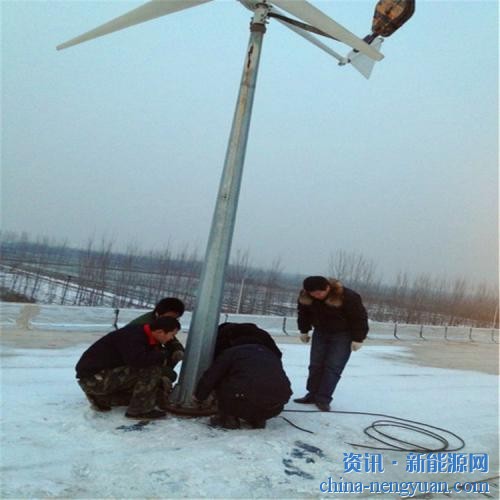 德州蓝润100台100瓦小型风力发电机正式在黑龙江安装成功