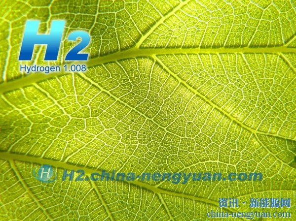 生物质制氢技术受到美国能源部支持