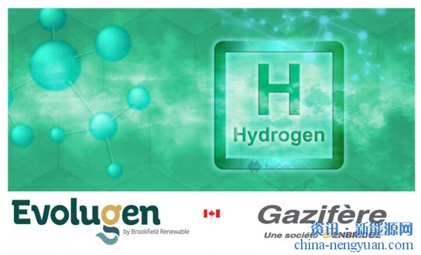 加拿大宣布最大的绿色氢管道注入项目