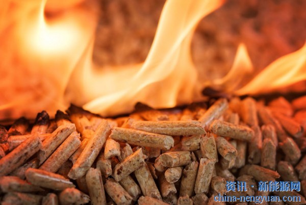 深入分析：了解导致颗粒燃料结焦的参数