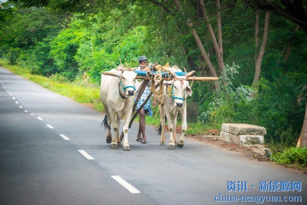 道路运输部长：印度农民将生产和使用氢燃料