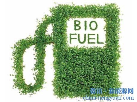德国生物柴油消费量再次大幅下降