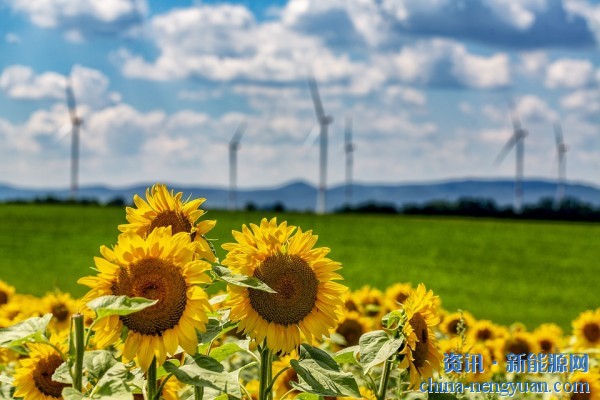 2024年全球风电新增装机容量117GW