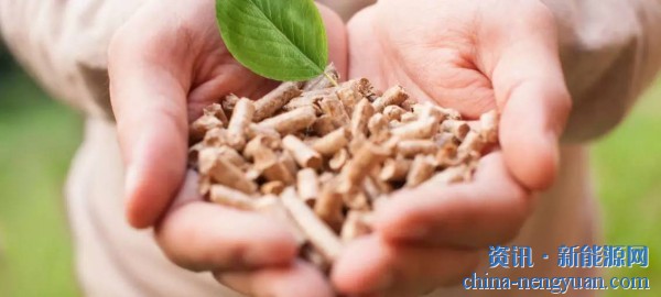 普洱绿色经济发展研究院成功引进重点生物质能源项目 开启生态经济双赢新篇章