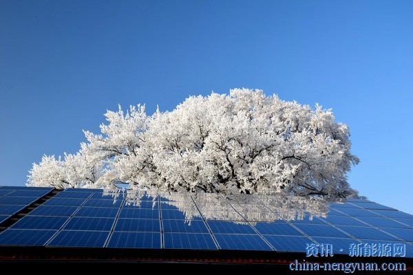 寿命只有5-12年！日本钙钛矿太阳能电池目标面临成本和耐久性考验