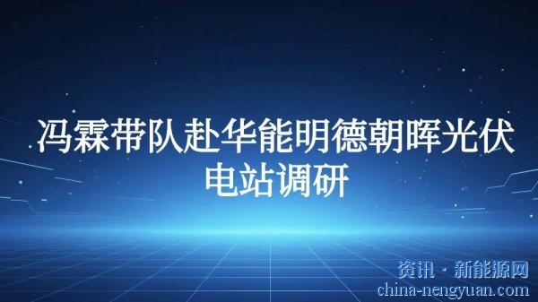 华电山东总经理冯霖带队赴华能明德朝晖光伏电站调研