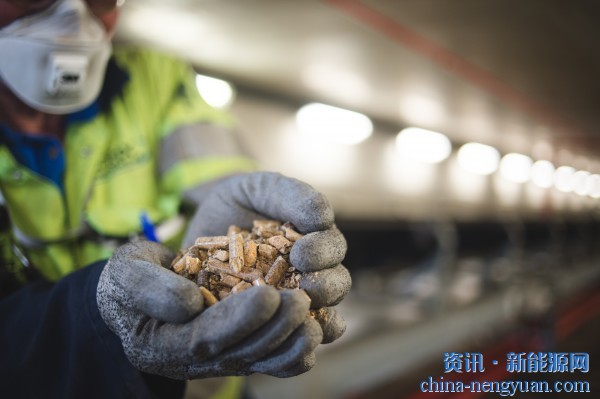 1035万吨！英国木颗粒消费量2026年预计将增长4%