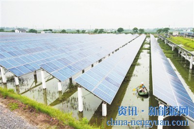 协鑫光伏农业项目获高额补贴