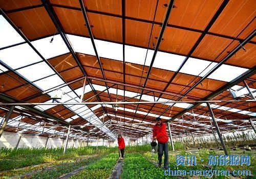 昊能光伏农业大棚设施发电项目落户大名县