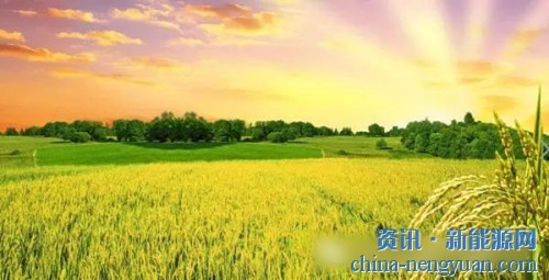 国际生物炭协会IBI：生物炭常见问题解答