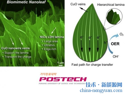 韩国：Nano-Leaf可以利用阳光制造氢能