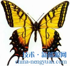 tech_disp_image.php?news_id=23698